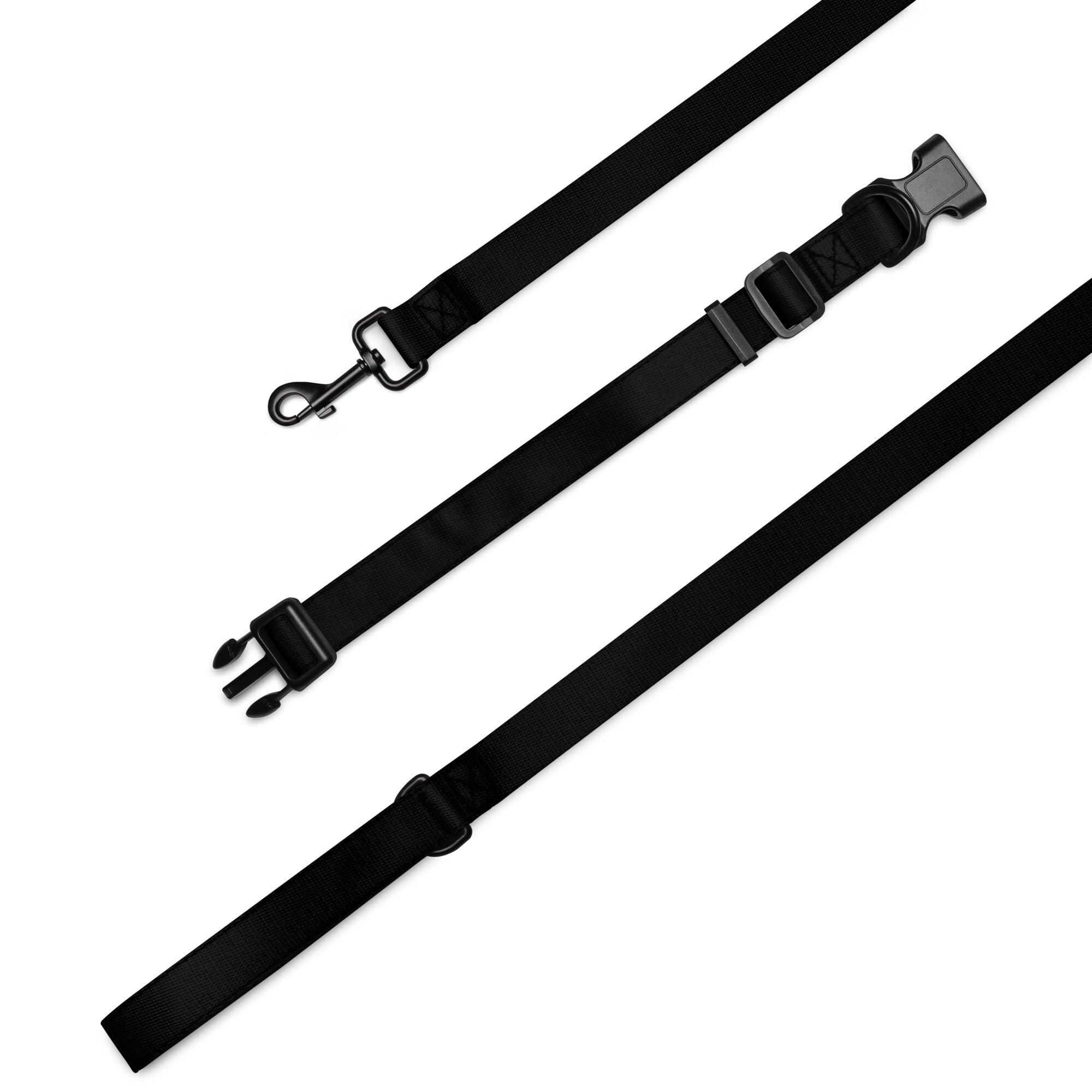 Pet collar & leash- Black