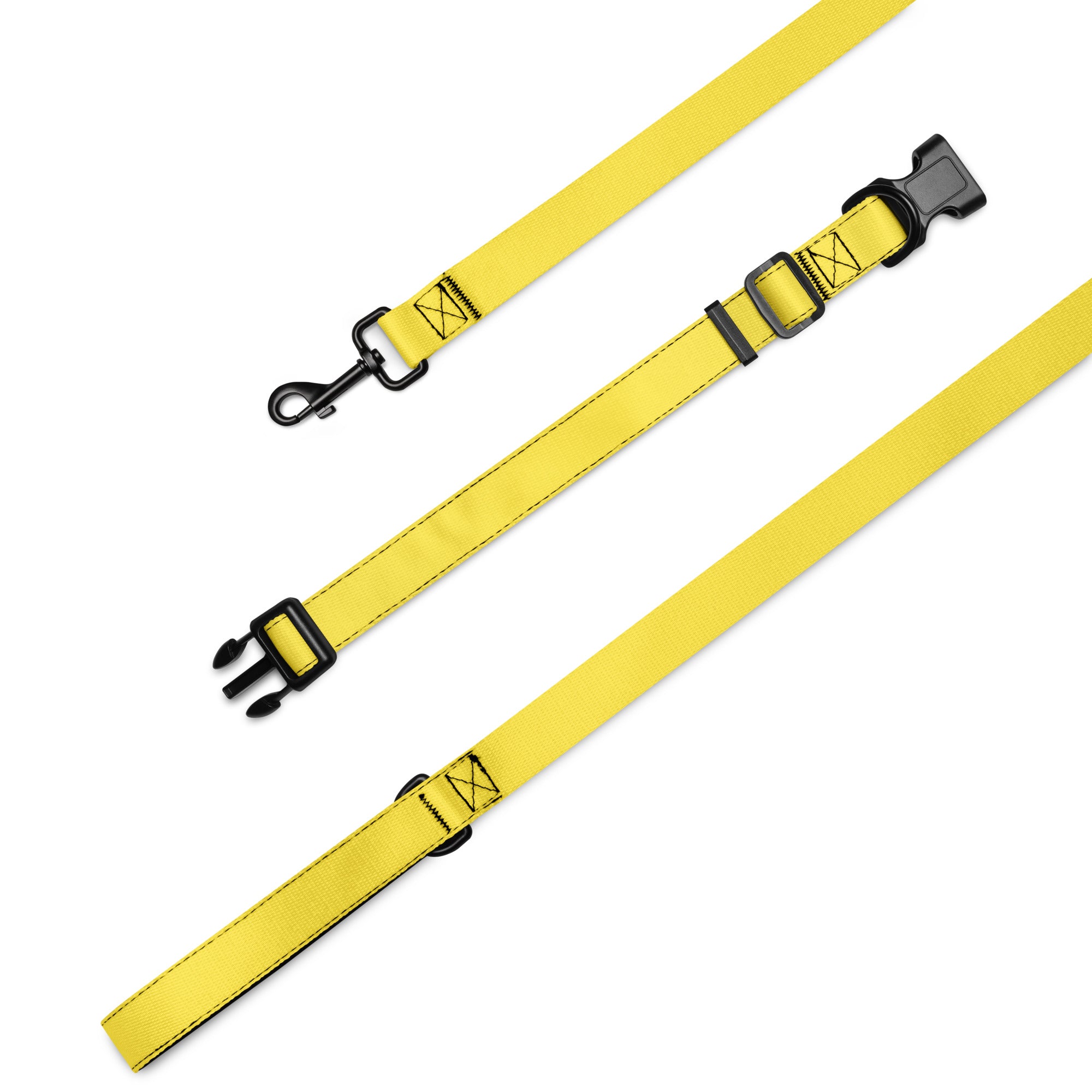 Pet collar & leash- Paris Daisy