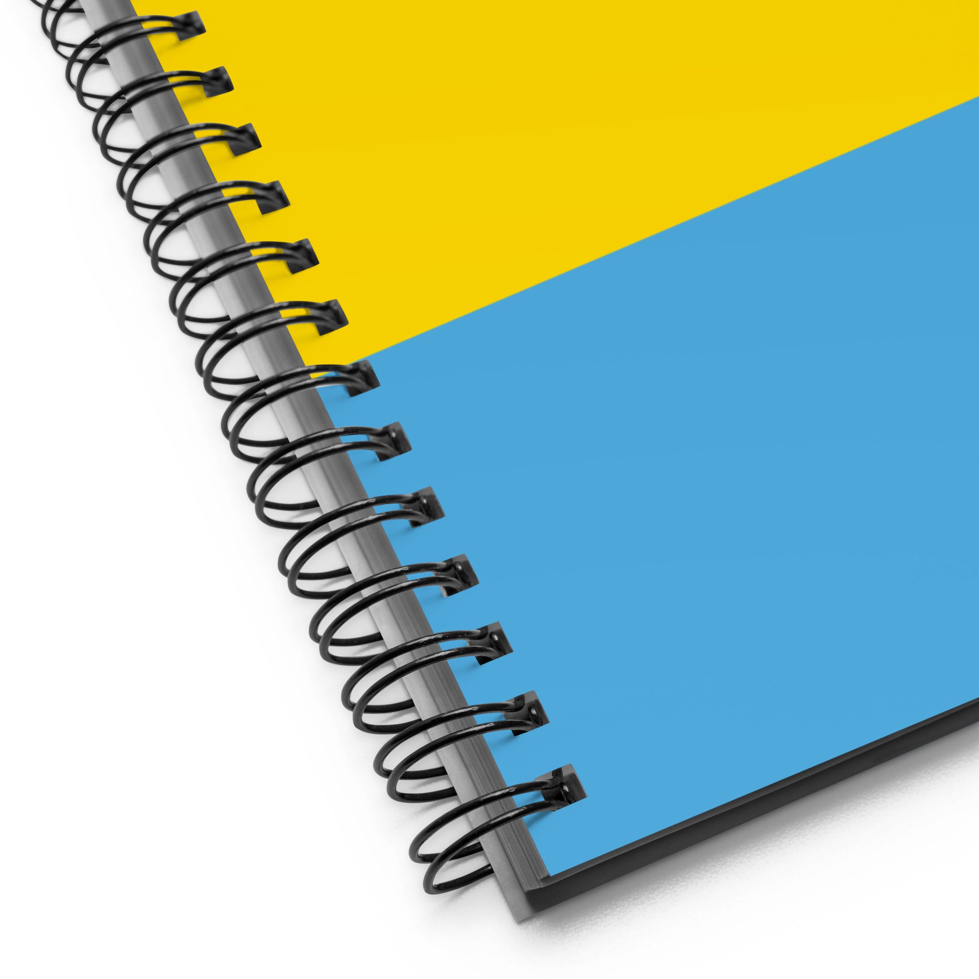 Spiral notebook- Pansexual