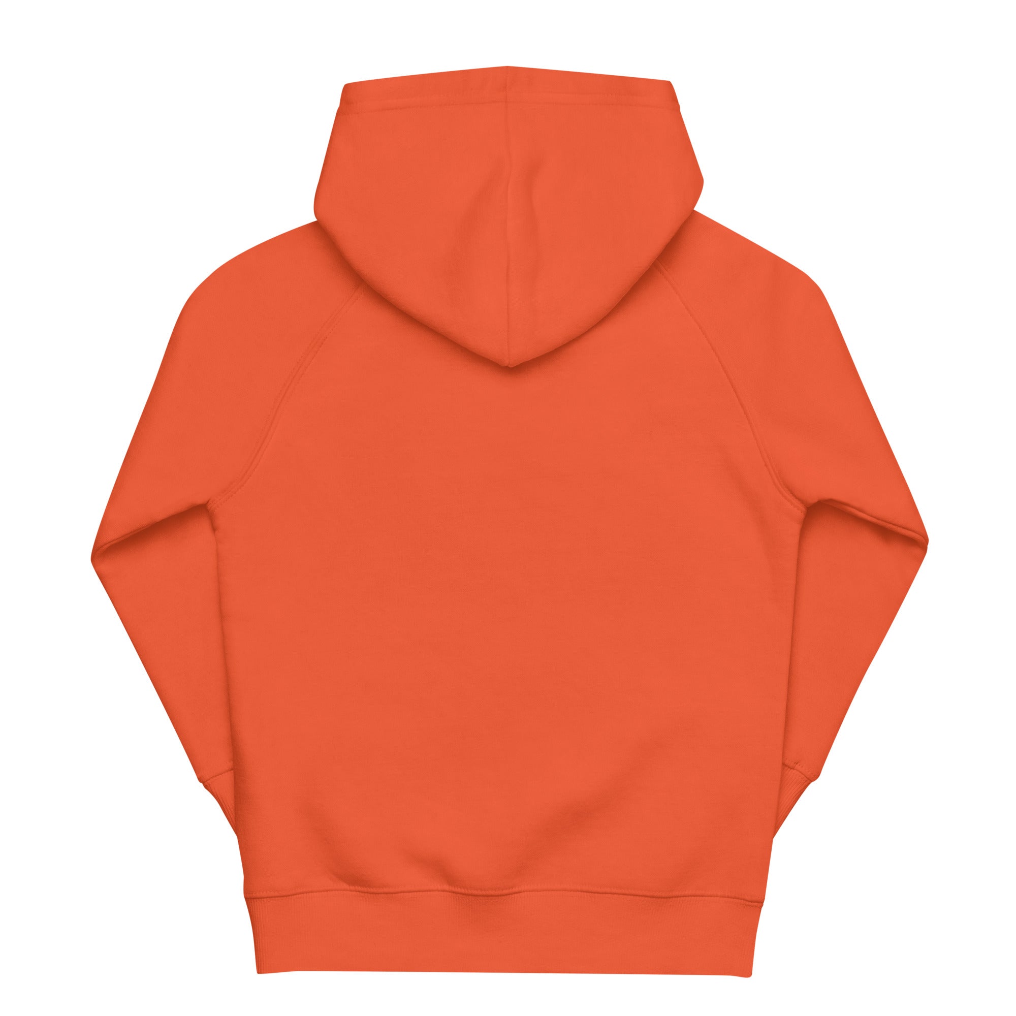 Kids eco hoodie-Monkey II