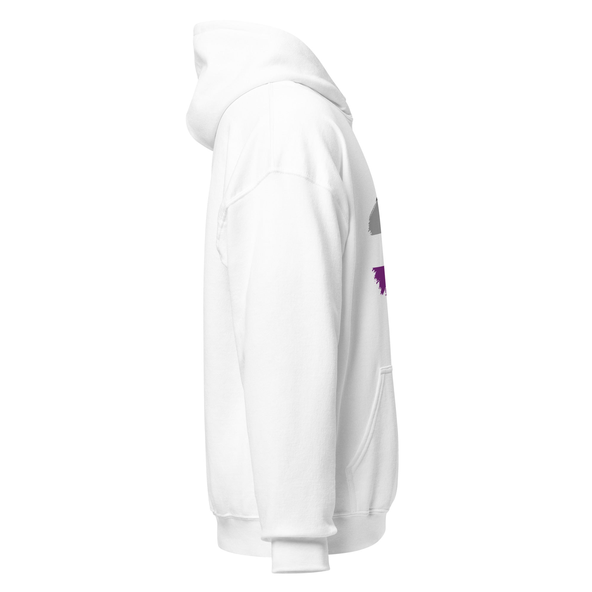 Unisex Hoodie-Asexual Grunge Flag