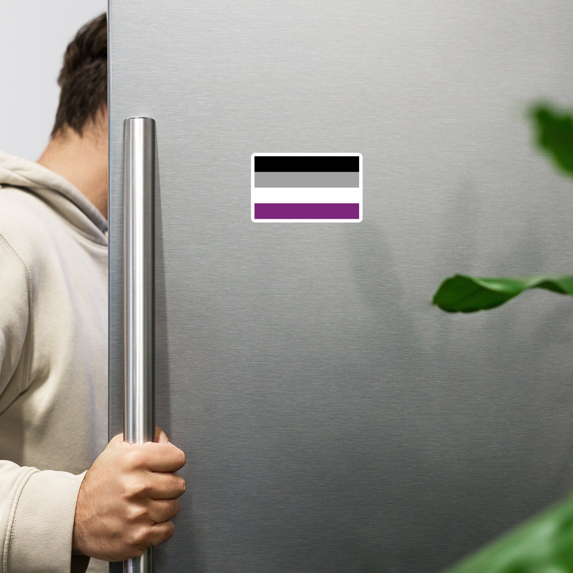 Magnet Asexual