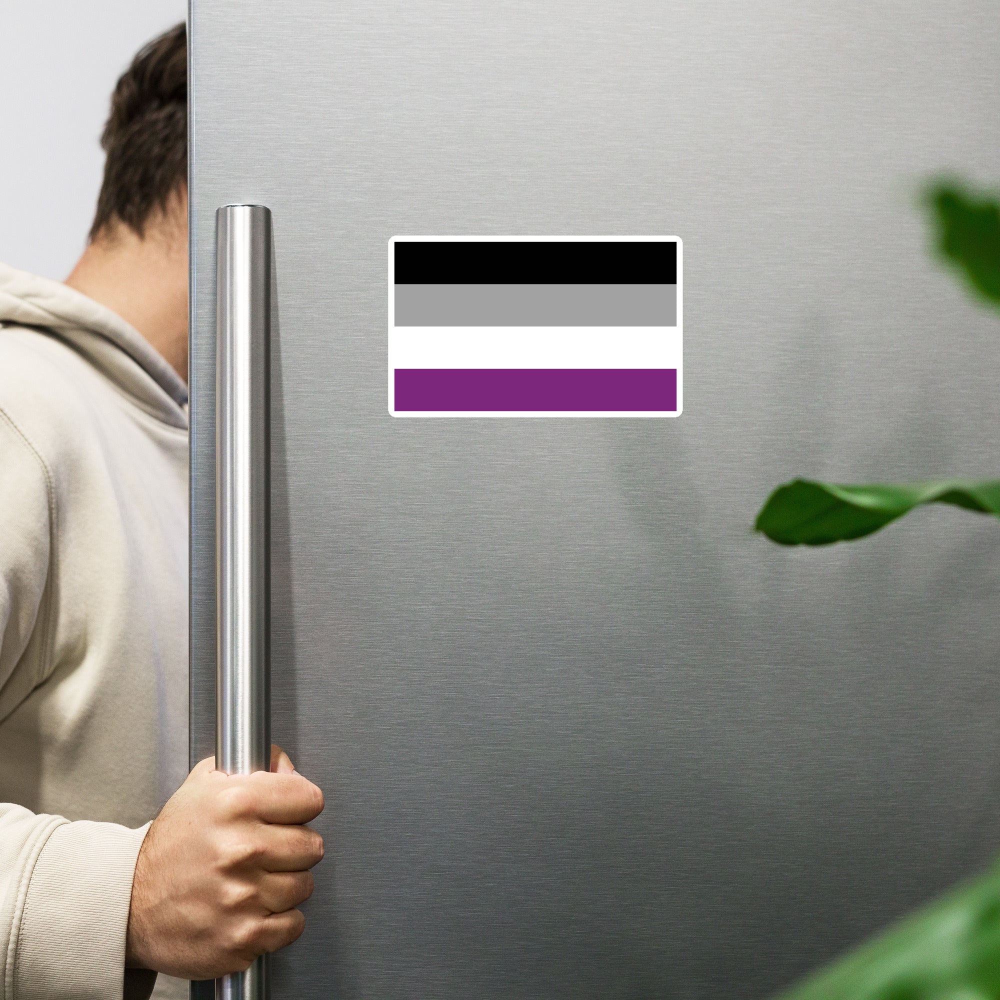 Magnet Asexual