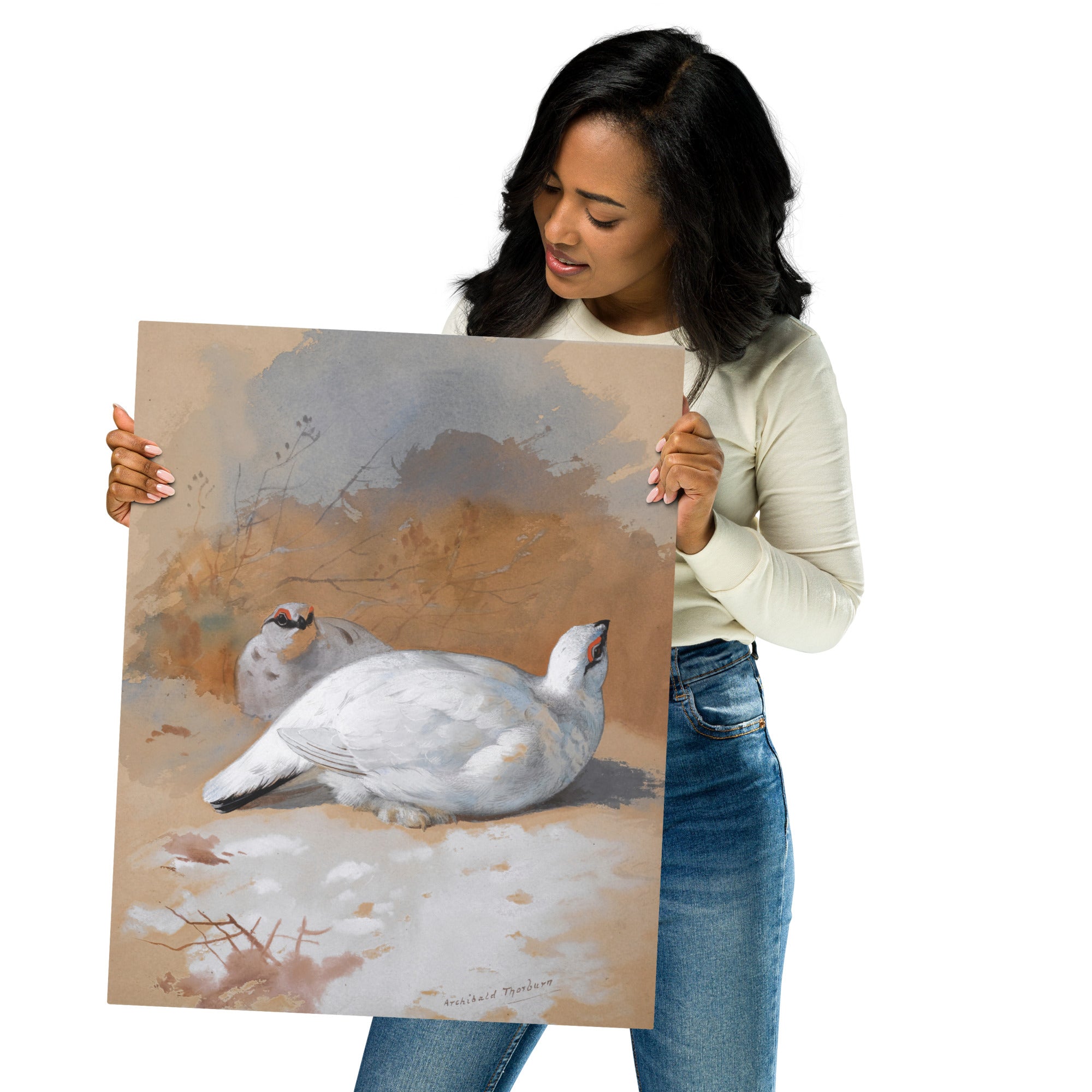 Metal prints Archibald Thorburn Scottish 1860 1935 A Brace Of Ptarmigan In The Snow