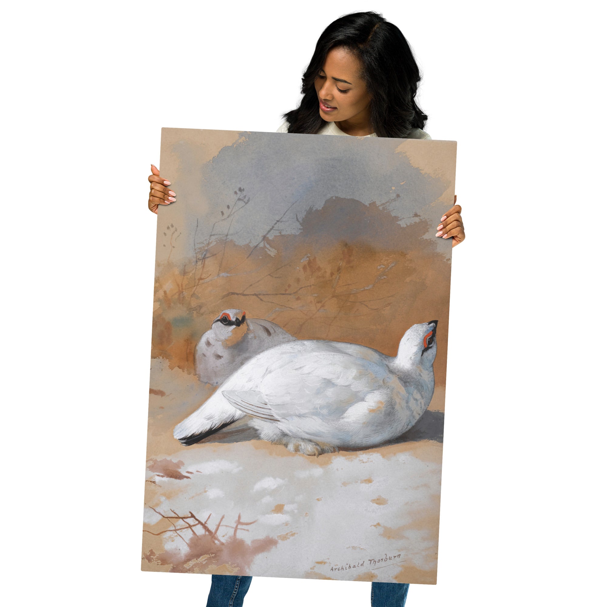 Metal prints Archibald Thorburn Scottish 1860 1935 A Brace Of Ptarmigan In The Snow