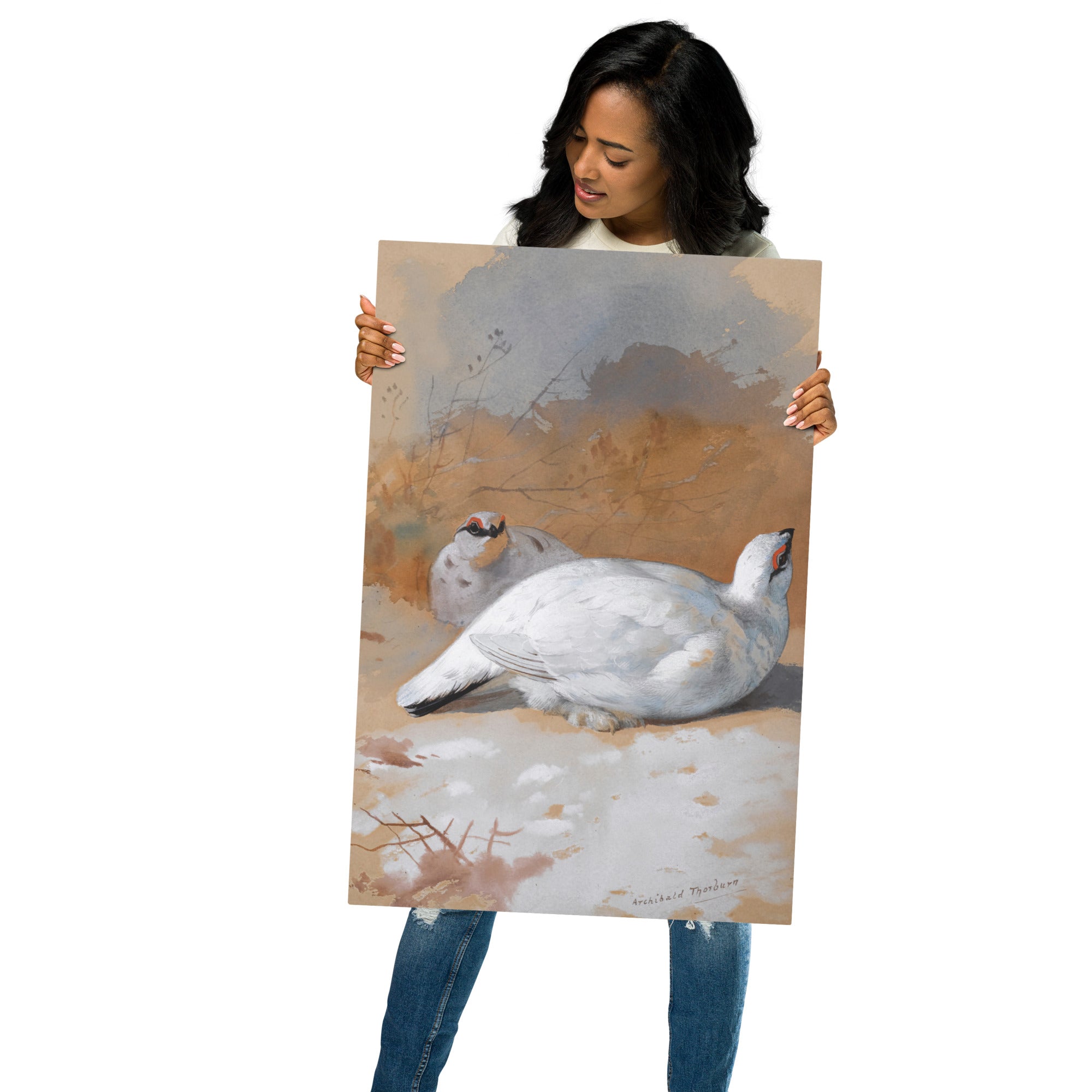 Metal prints Archibald Thorburn Scottish 1860 1935 A Brace Of Ptarmigan In The Snow