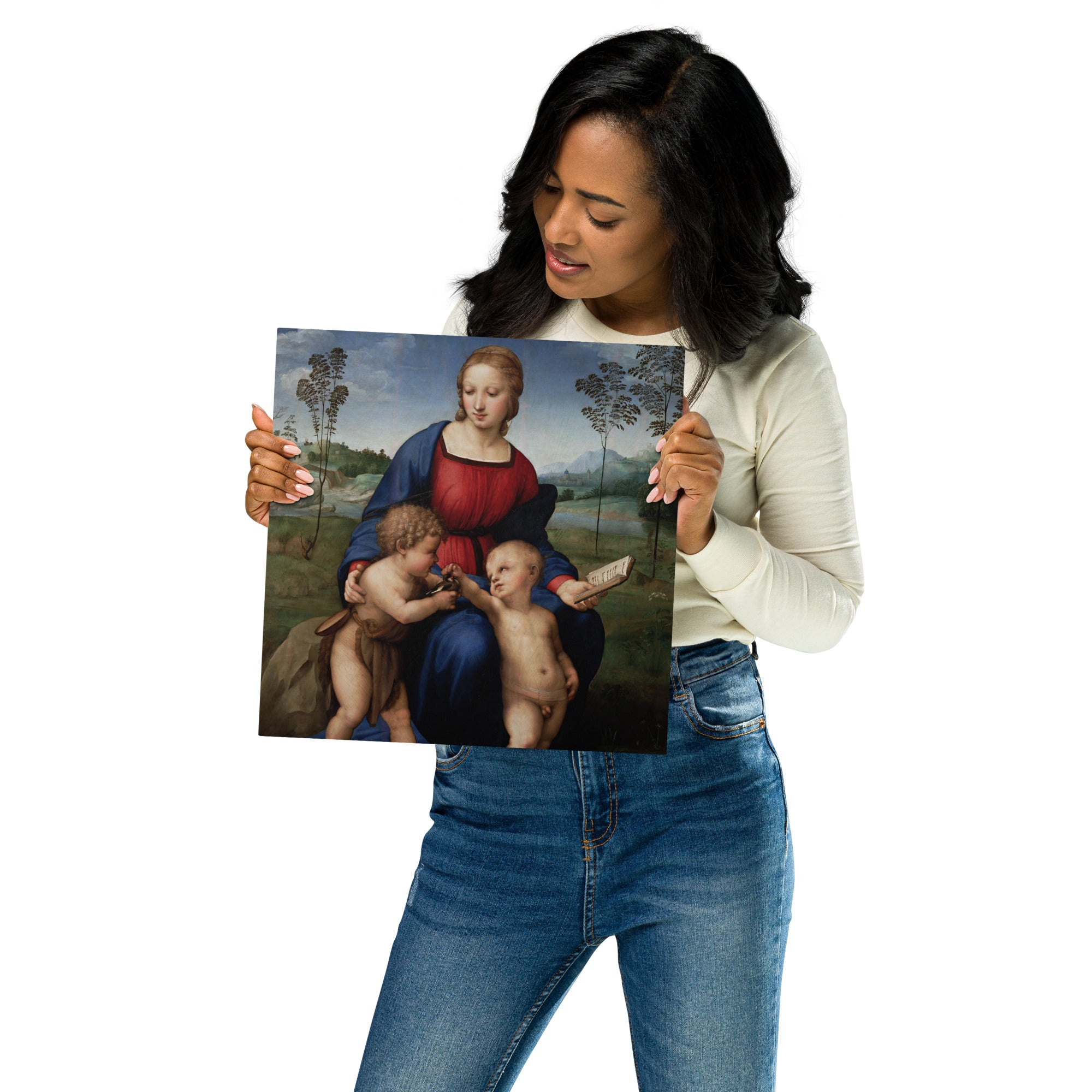 Metal prints Raphael Italian 1483 1520 Madonna Del Cardellino 1505