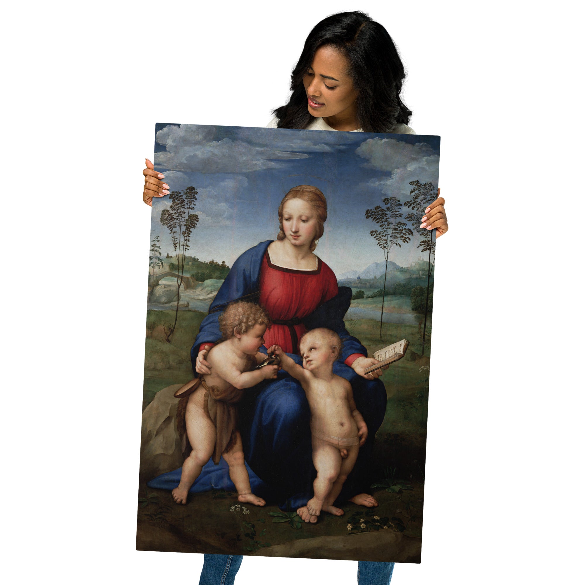 Metal prints Raphael Italian 1483 1520 Madonna Del Cardellino 1505