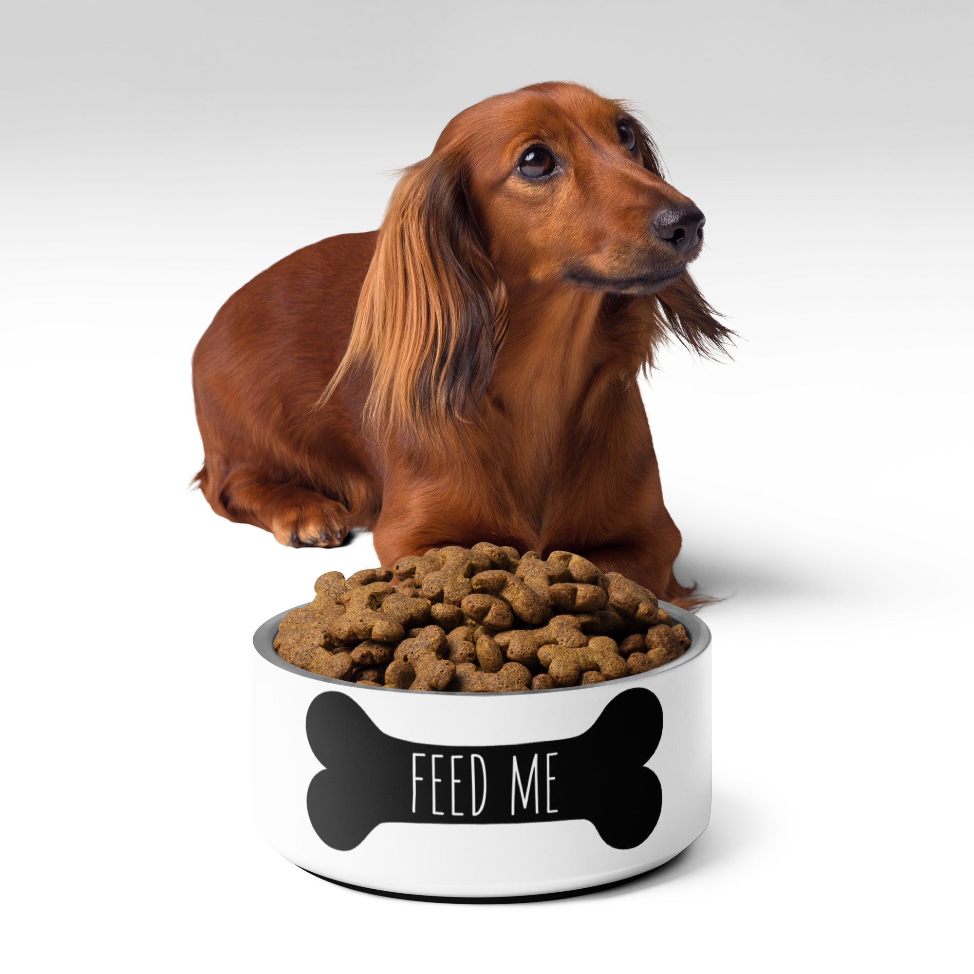 Pet bowl Feed me
