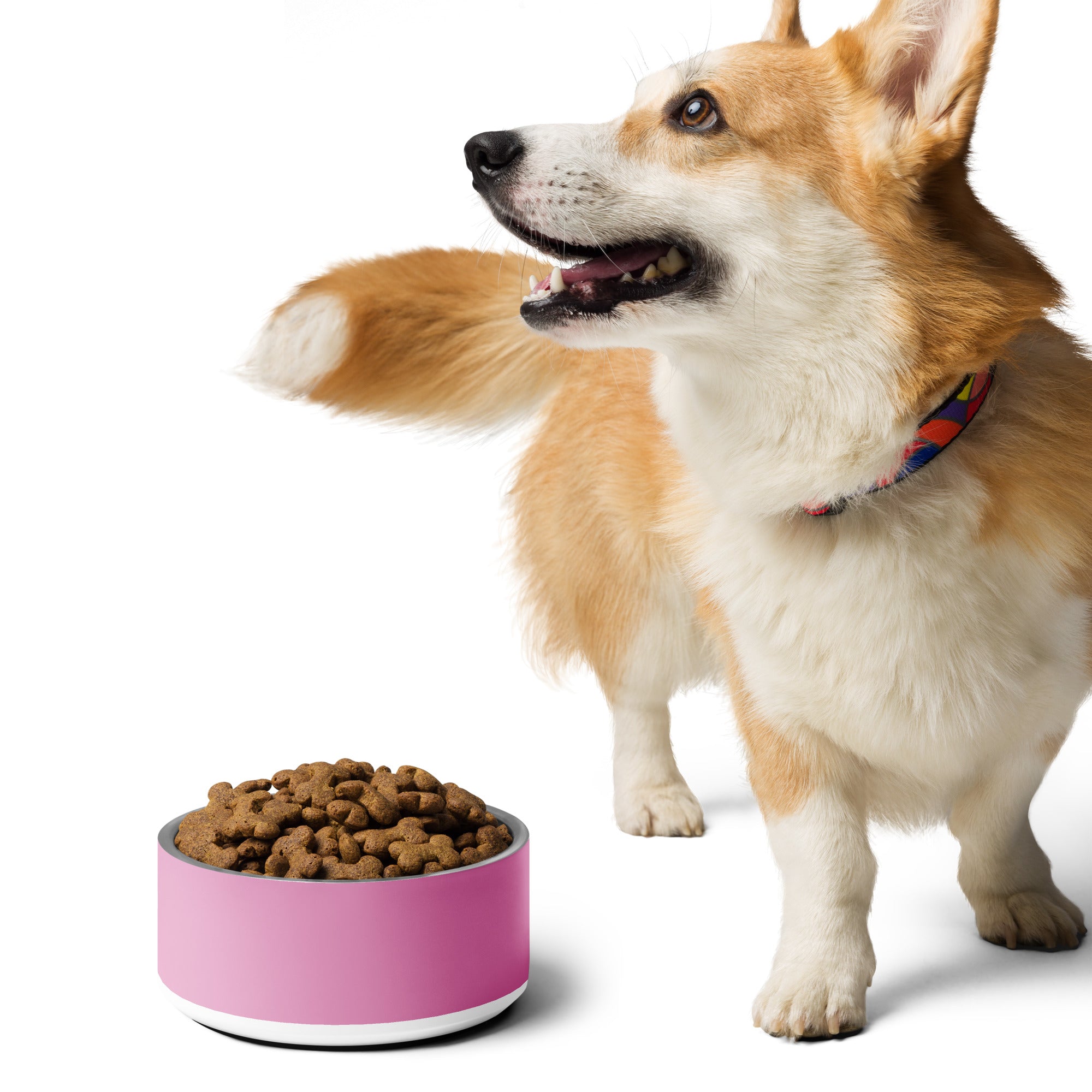 Pet bowl Pink