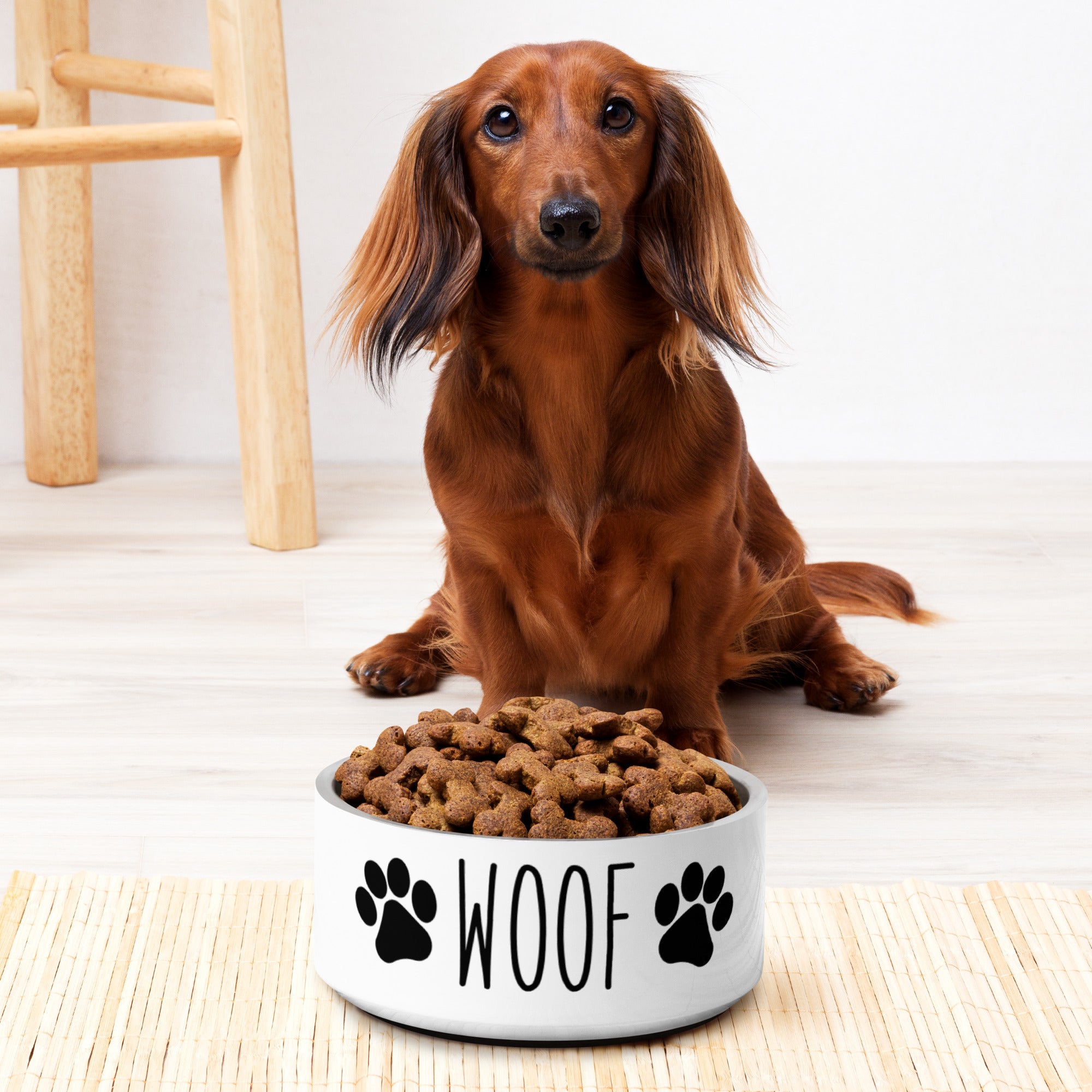 Pet bowl Woof