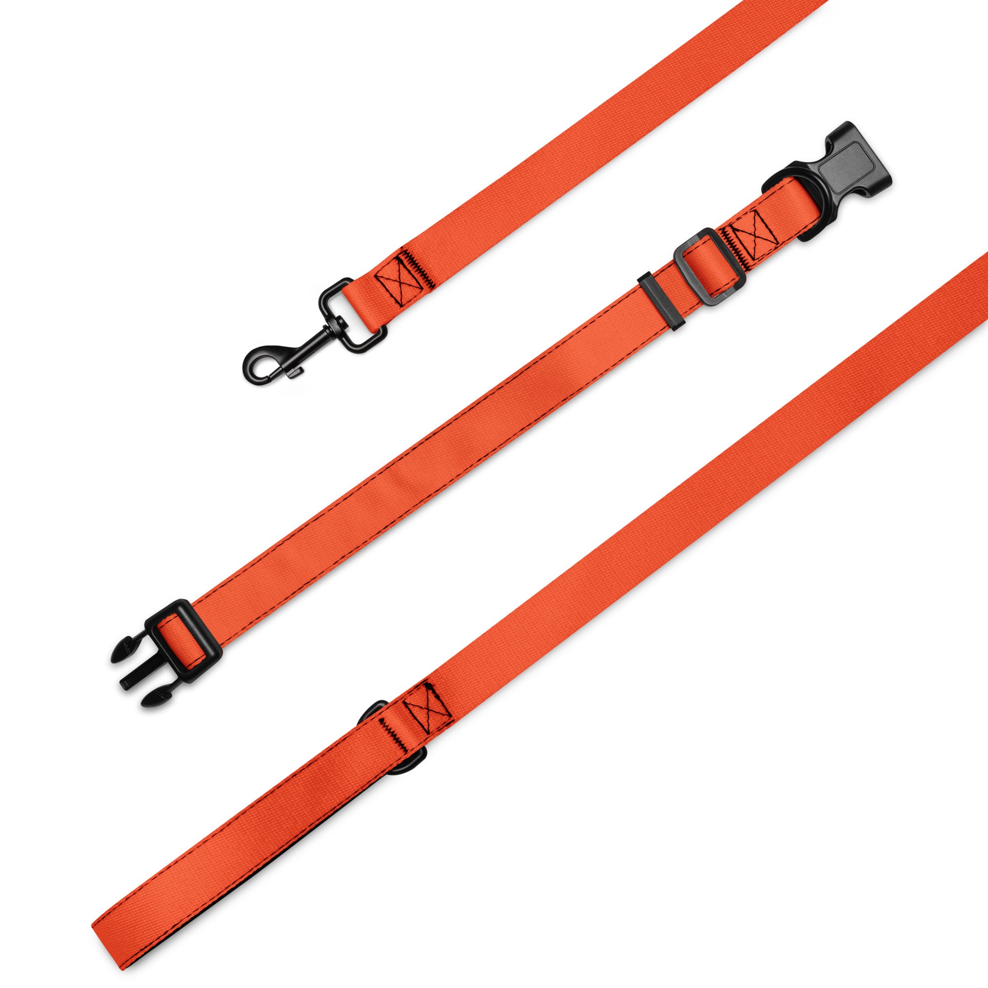 Pet collar & leash Orange