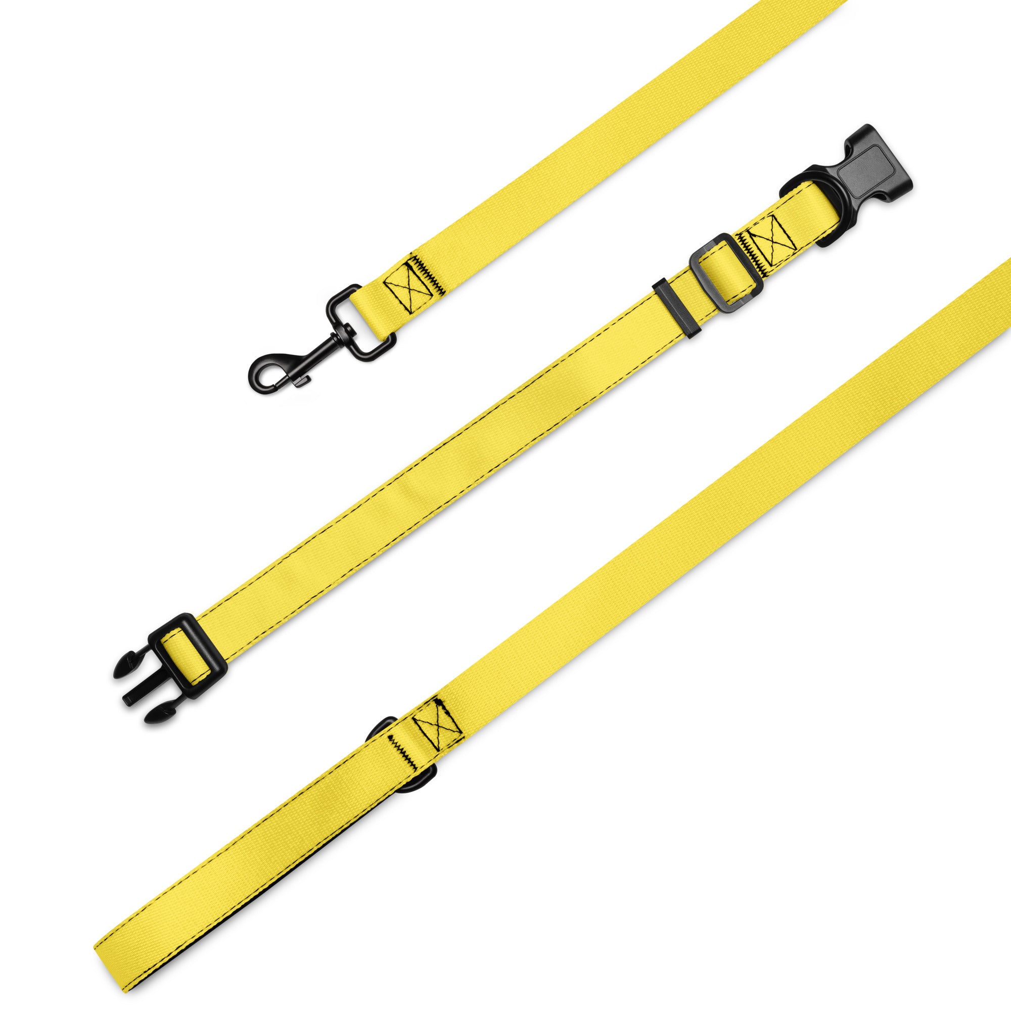 Pet collar & leash Paris Daisy