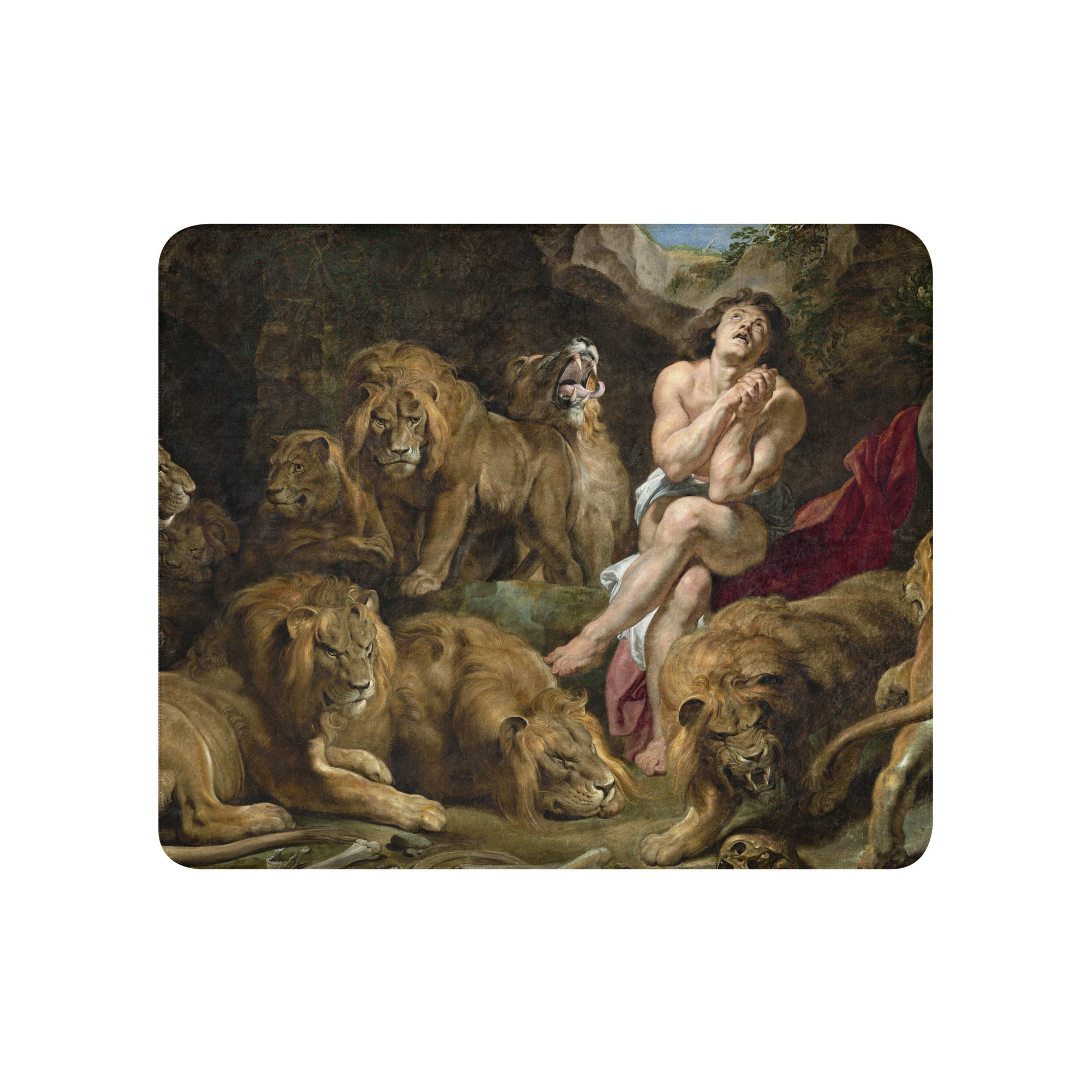 Sherpa blanket Daniel in the Lions Den