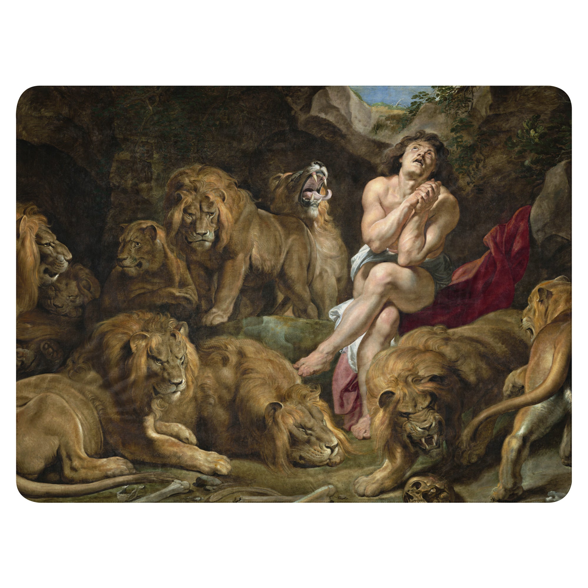 Sherpa blanket Daniel in the Lions Den