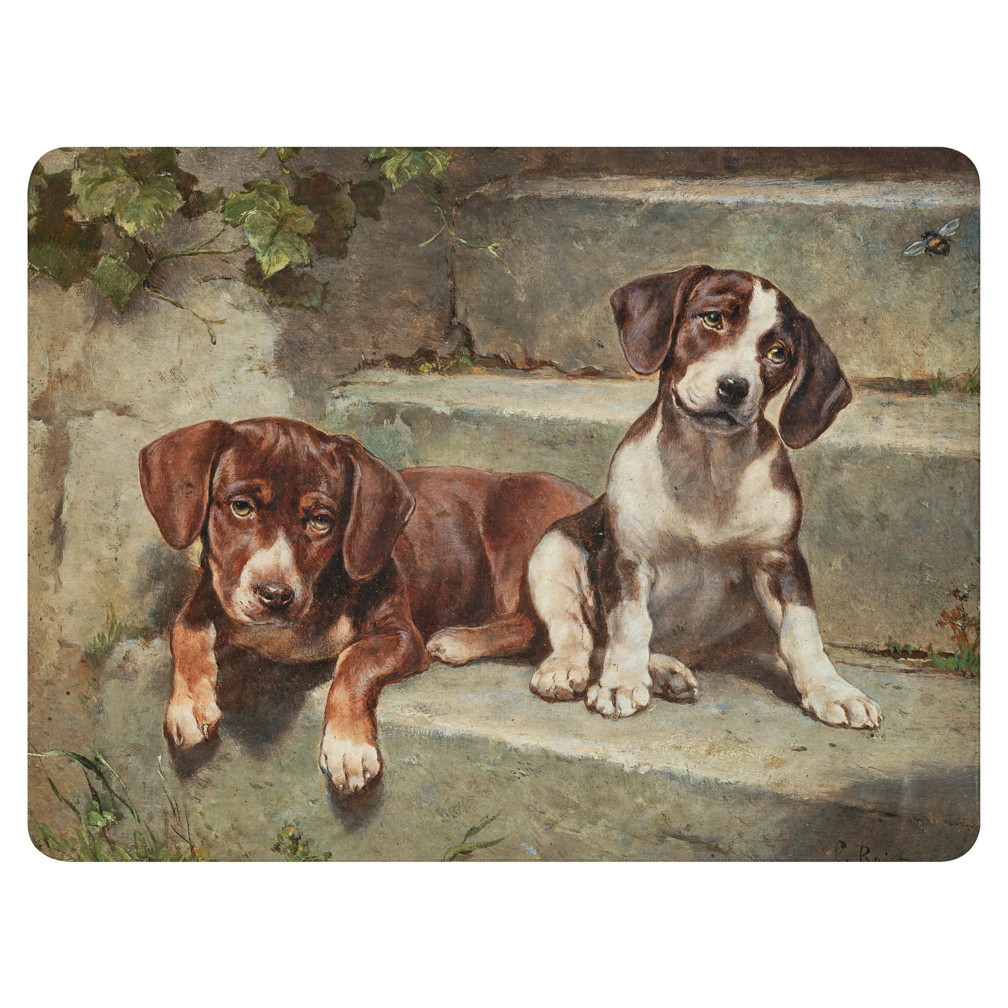 Sherpa blanket Gestrte siesta