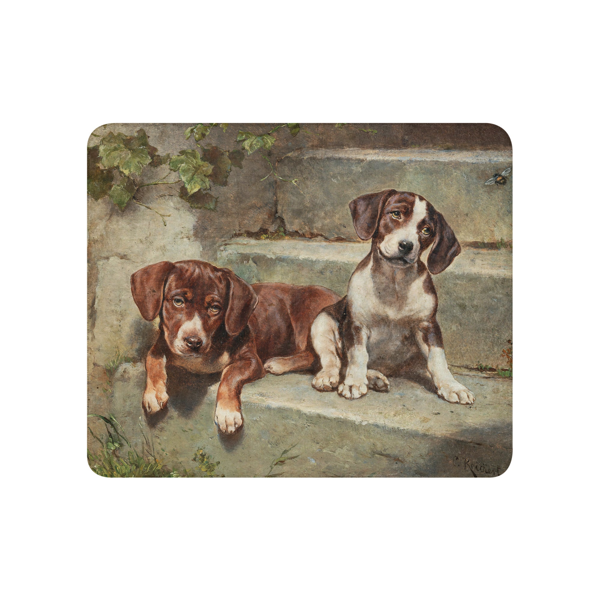 Sherpa blanket Gestrte siesta