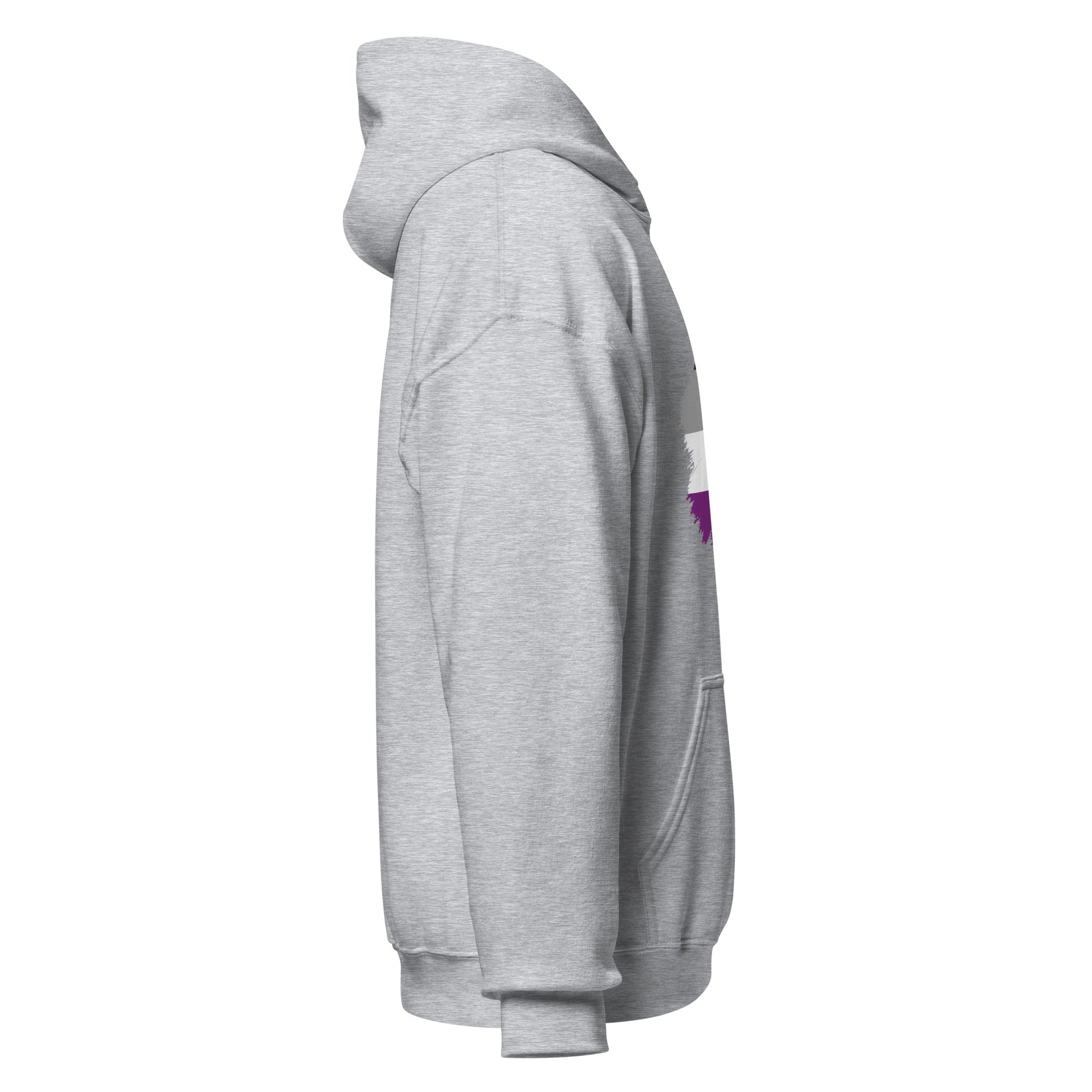 Unisex Hoodie Asexual Grunge Flag