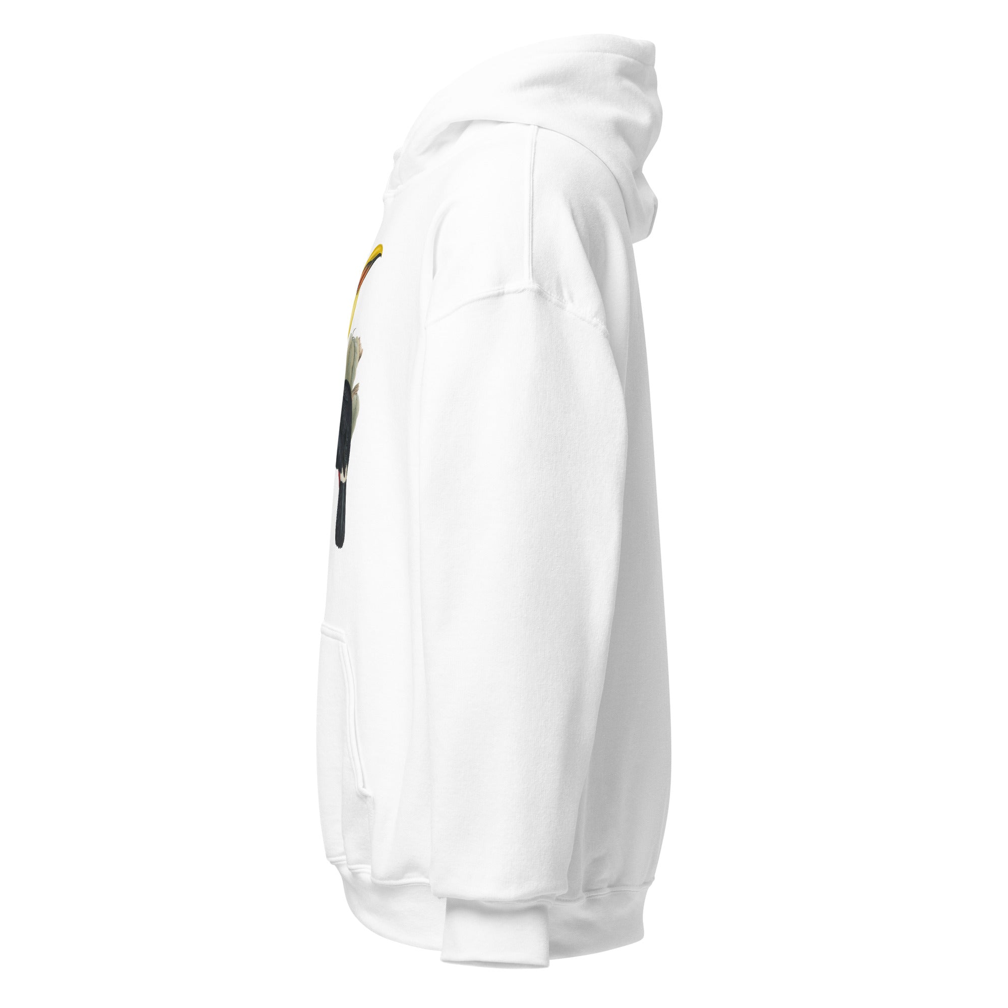 Unisex Hoodie Family of Toucans I