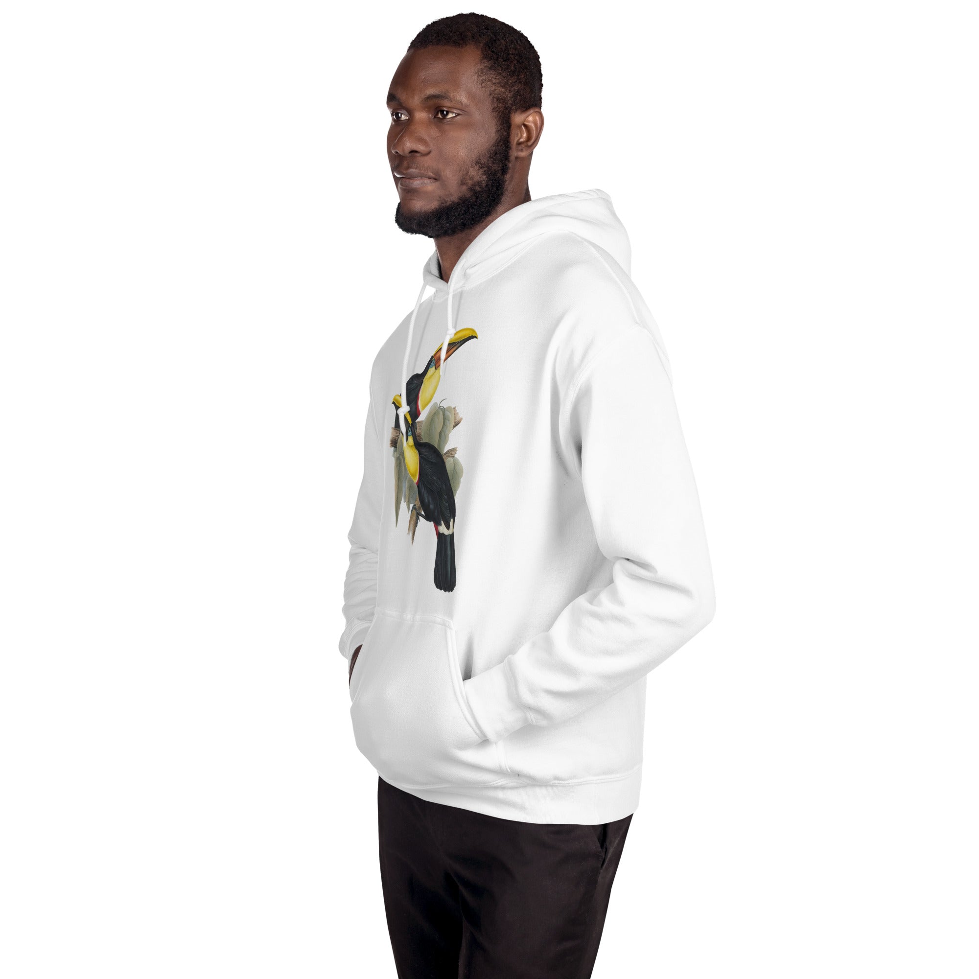 Unisex Hoodie Family of Toucans I
