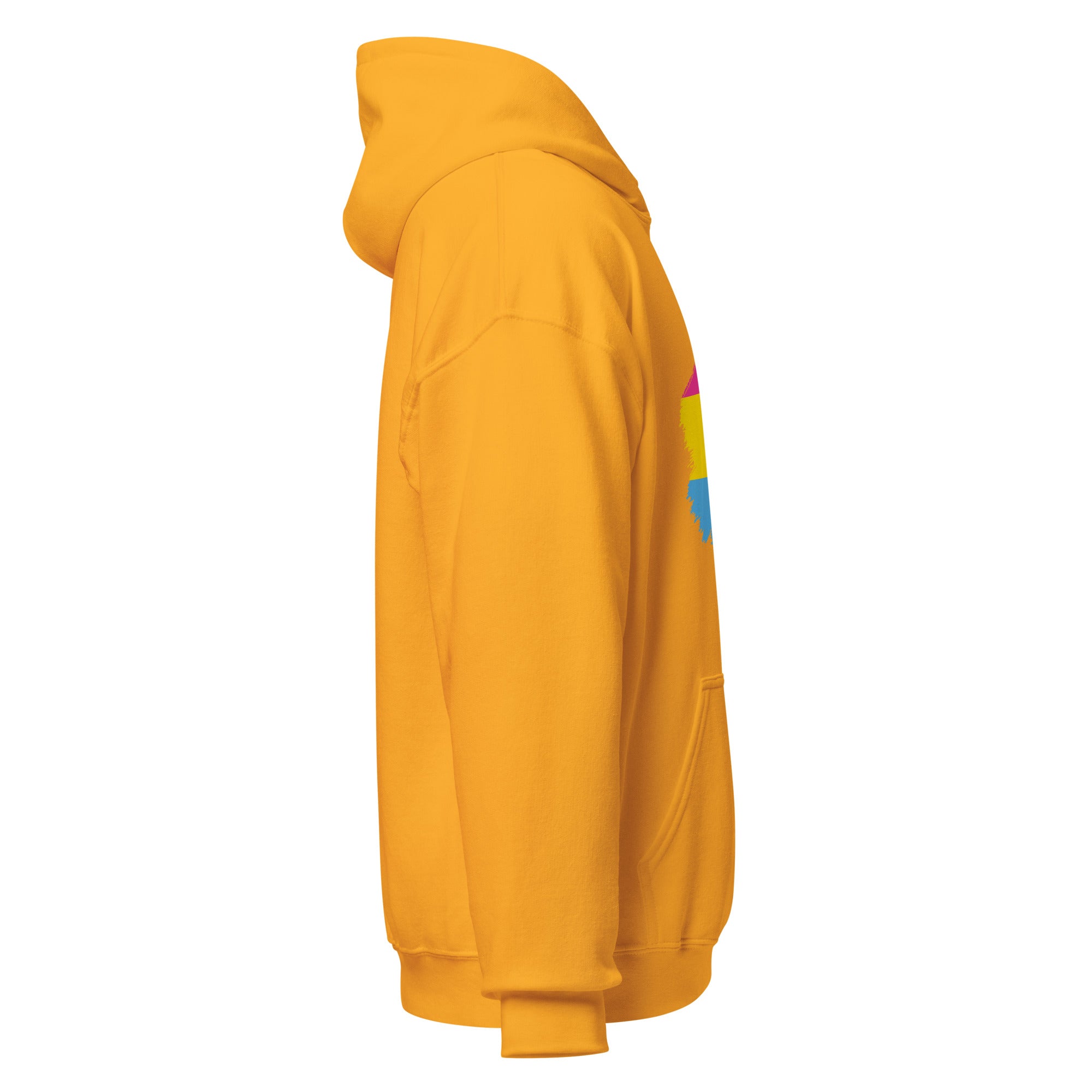 Unisex Hoodie Pansexual Grunge Flag